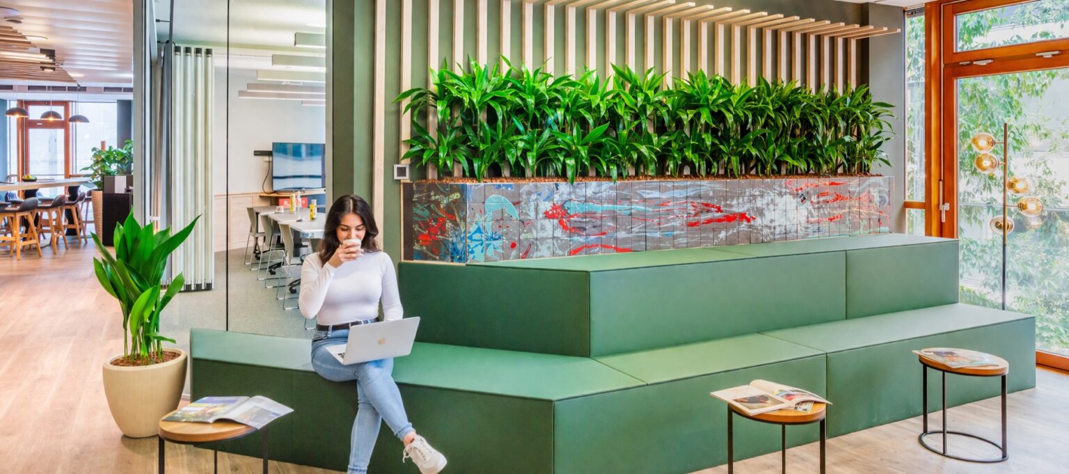 Plaza Cubes Hammer Strasse Reception